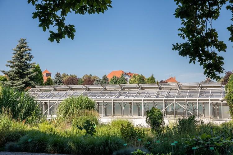 Wrocław: Szklarnie w Ogrodzie Botanicznym wyremontowane. Znów można ich używać [ZDJĘCIA]