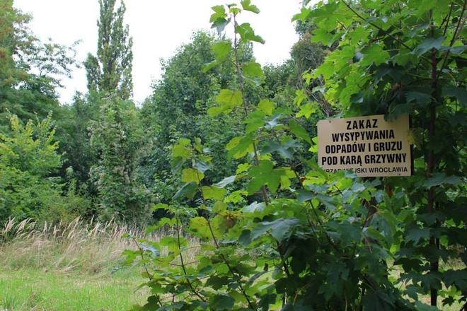 Park zamiast nielegalnego wysypiska śmieci. Mieszkańcy Tarnogaju wzięli sprawy w swoje ręce