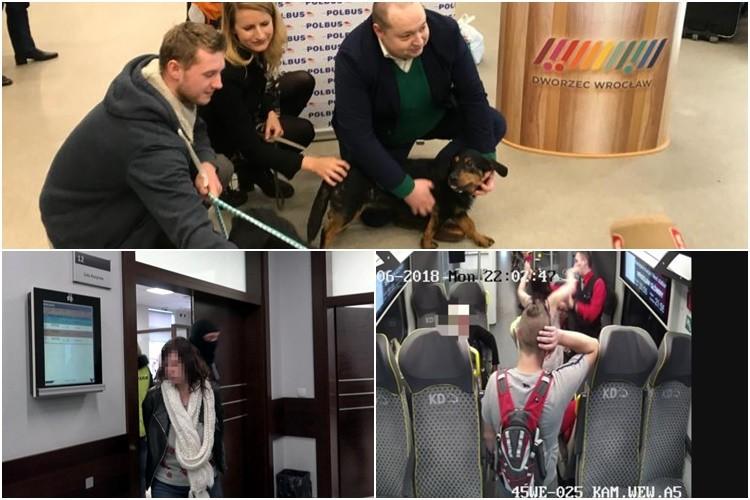 Pobicie w pociągu, co dalej z chłopcem pobitym przez matkę i Polbus dla bezdomnych zwierząt [PODSUMOWANIE DNIA]