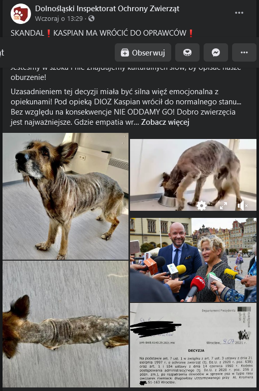 Szokująca decyzja magistratu wstrzymana! Czy zagłodzony pies wróci do właścicielki?