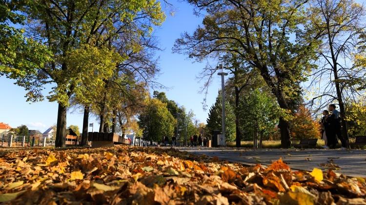 Pogoda oszaleje. Będzie 20 stopni, a już zapowiadają... pierwszy śnieg!