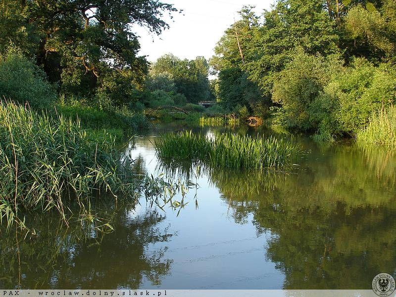 Odkrywamy Wrocław: Park Wschodni