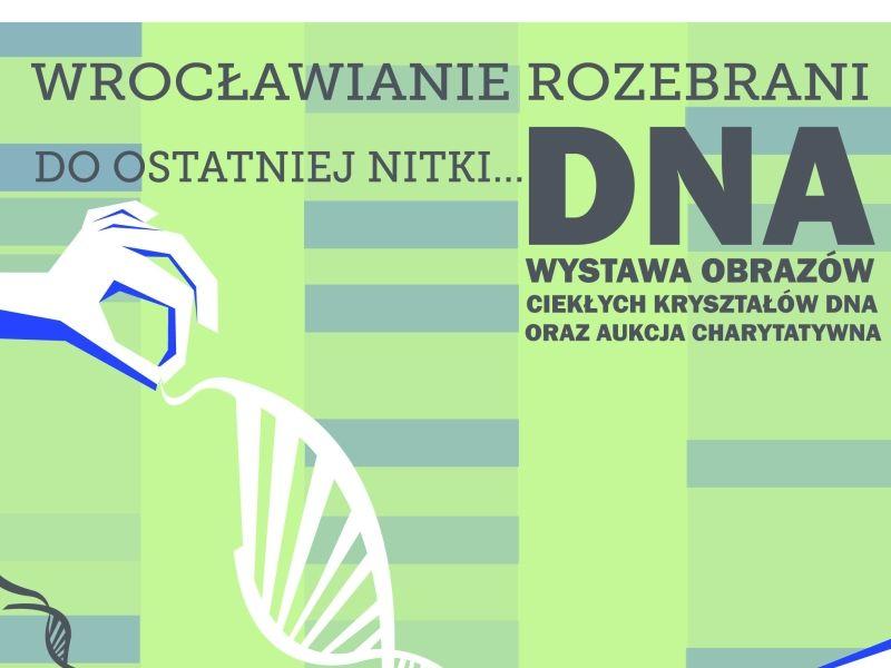 Rozebrani wrocławianie na aukcji charytatywnej 