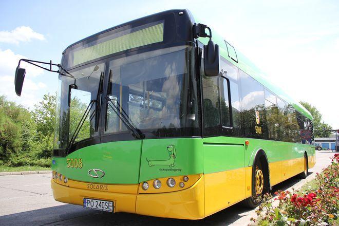 MPK testuje nowy autobus. To solaris w poznańskich barwach i z siedzeniami w koziołki [ZDJĘCIA]