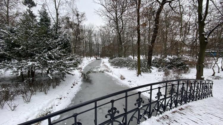 We Wrocławiu jak w bajce. Parki toną w śniegu, jest tam magicznie