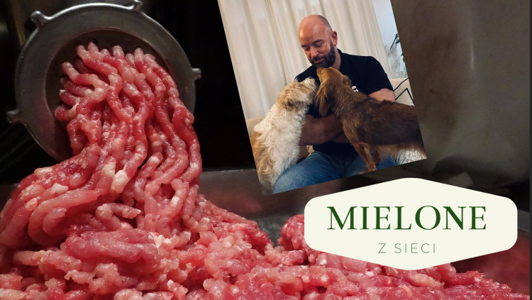 MIELONE Z SIECI Czy Wrocek został zdradzony?