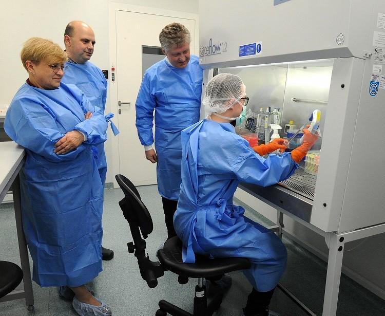 Przełom w stomatologii. Naukowcy z Wrocławia badają możliwości komórek macierzystych
