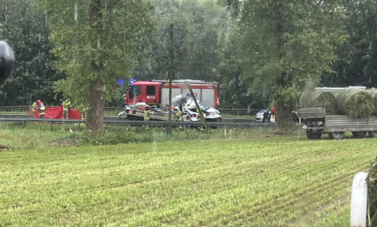 Koszmarny wypadek na Dolnym Śląsku. Na auto spadło drzewo, nie żyje jedna osoba