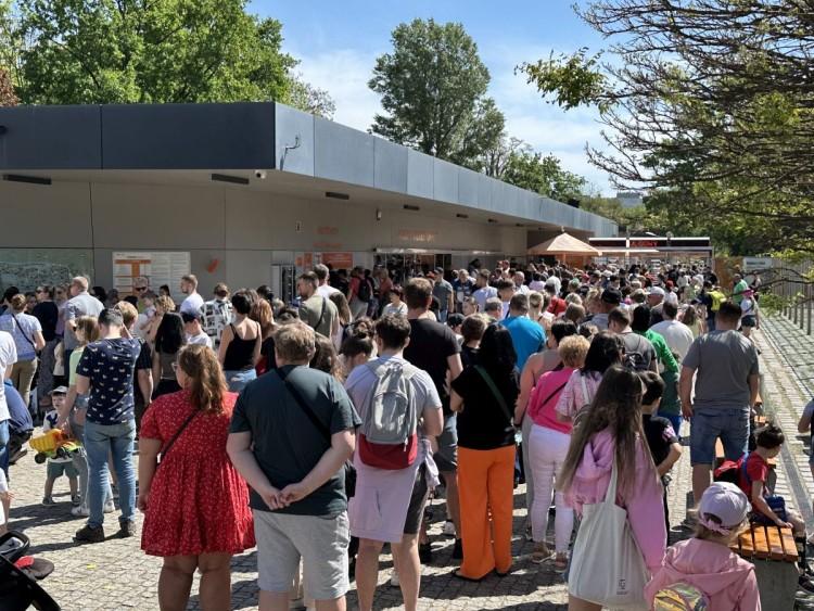 Wrocław: Kolejka do zoo i spore korki w okolicy