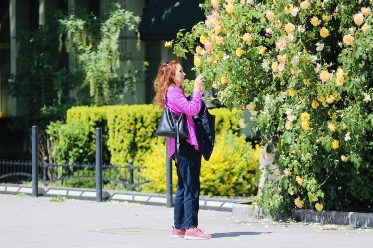 Instagramowe miejsca we Wrocławiu. To nie tylko Pergola i Hala Stulecia