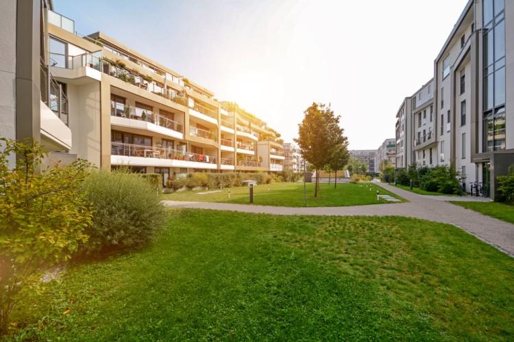 Miejskie życie blisko natury – najbardziej zielone nieruchomości we Wrocławiu