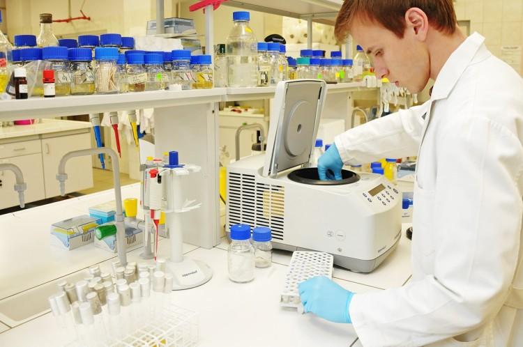 Awans wrocławskiej uczelni w Akademickim Rankingu Uniwersytetów Świata