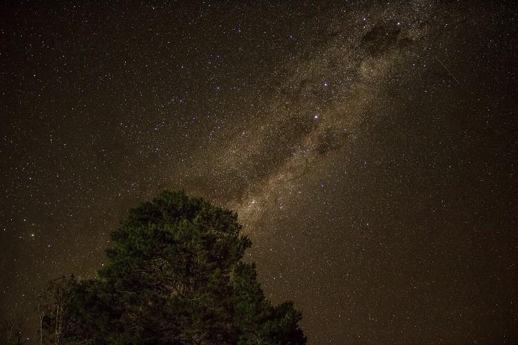 Rój Perseidów będzie w tę noc dobrze widoczny z Wrocławia. Nie przegap tego!