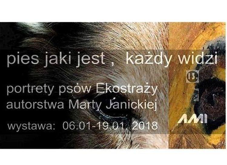 Portrety czworonożnych podopiecznych Ekostraży [WYSTAWA]