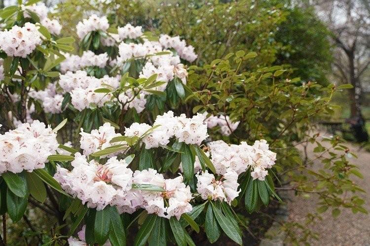 Arboretum Wojsławice rozpoczyna sezon. Moc atrakcji już jutro
