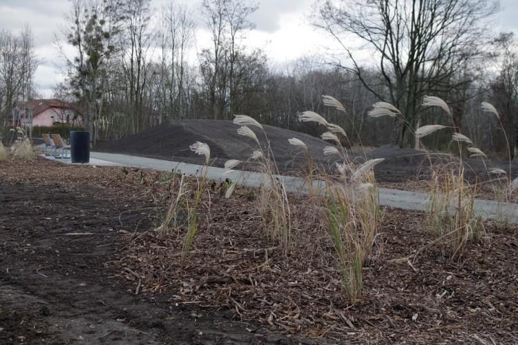 Żerniki mają nowy park. Powstał dzięki projektom budżetu obywatelskiego  [ZDJĘCIA]