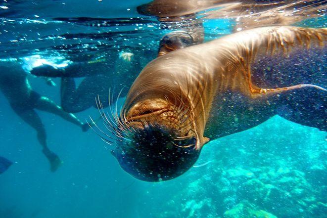 Klimat Galapagos w zimowej Leśnicy