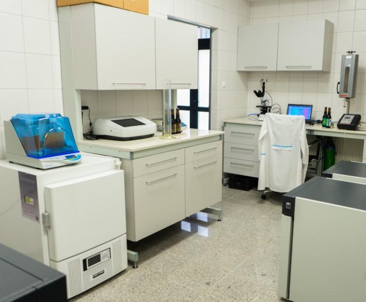 We Wrocławiu powstało laboratorium do badań nad piwem [ZDJĘCIA]