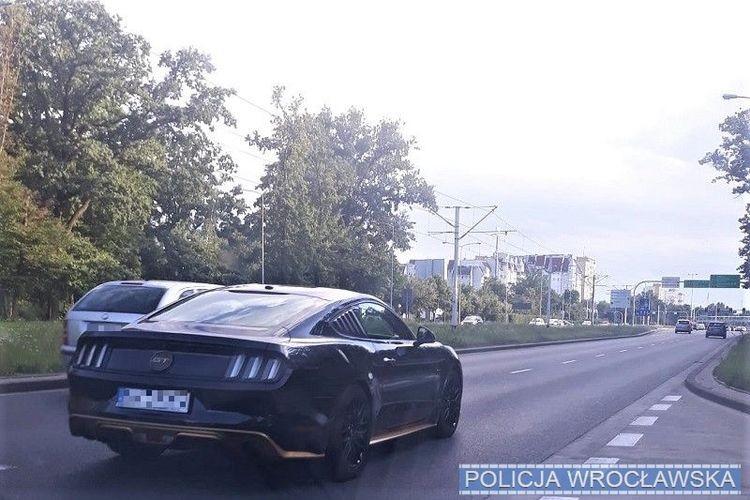 Pędziła przez miasto wypożyczonym mustangiem 132 km/godz. Zaskakujące tłumaczenie [WIDEO]