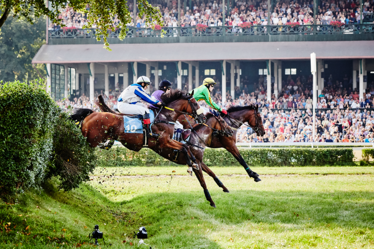 Rusza sezon przeszkodowy na Torze Wyścigów Konnych Partynice