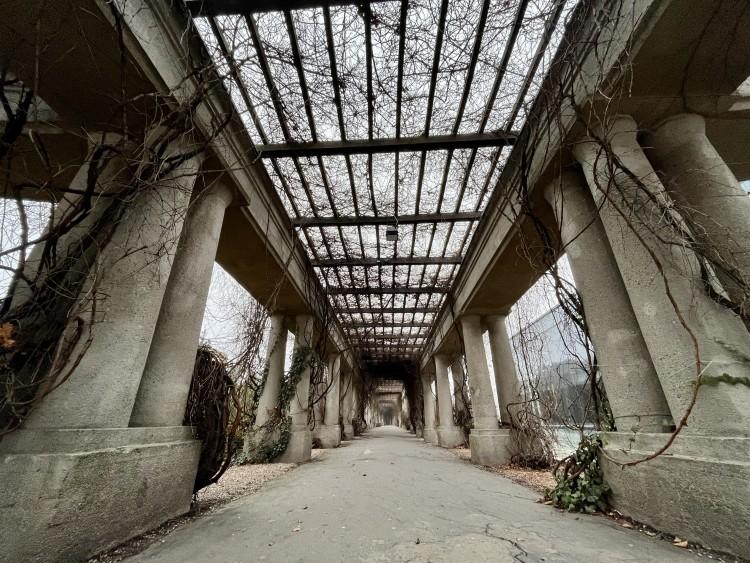Sesja zdjęciowa we Wrocławiu - tu zrobisz najlepsze zdjęcia na swój Instagram