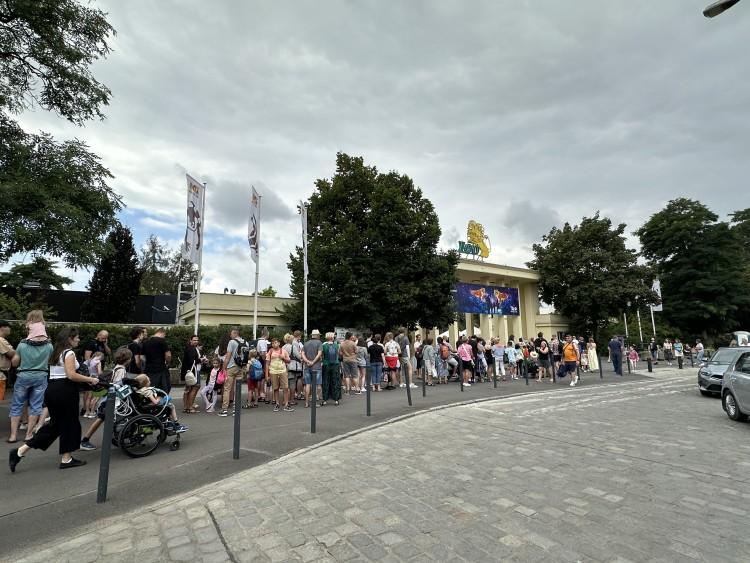 Tu we Wrocławiu kolejki są prawie codziennie! Za czym oni tam tak stoją?