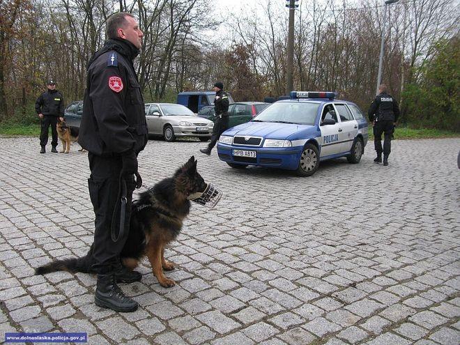 Na widok psa tropiącego dobrowolnie wydał policjantom narkotyki