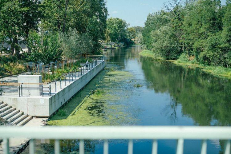 Osiedlowe odkrywanie przyrody Przedmieścia Oławskiego. Oto program Dnia Trójkąta 2020