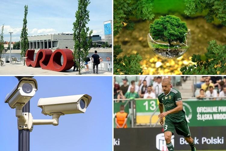 Nowe drzewa i zarzuty dla zatrzymanego przed Marszem [PODSUMOWANIE DNIA]