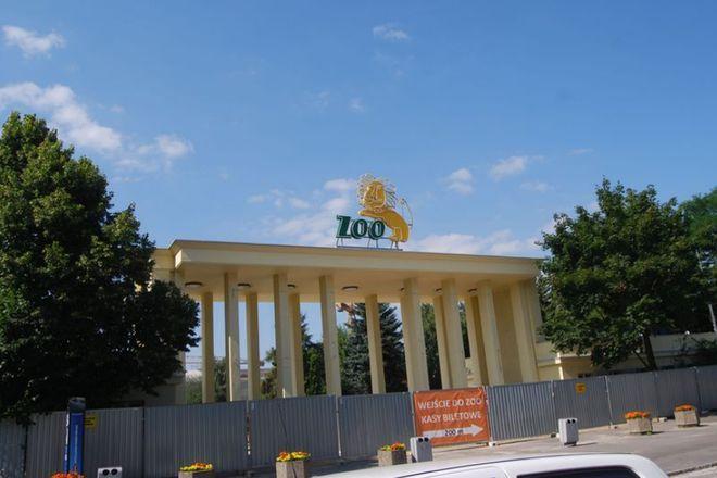 W ZOO nie tylko powstaje Afrykarium. Nowe wejście, kawiarnia, wybieg dla okapi a wkrótce Odrarium
