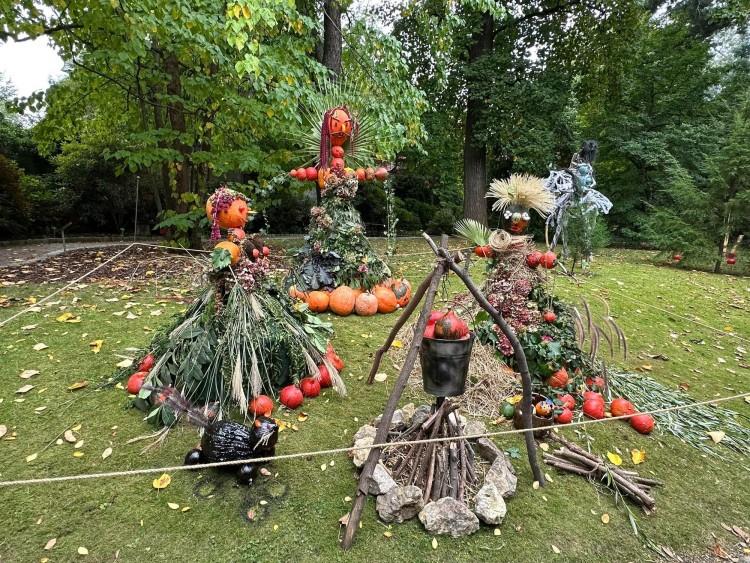 Strachy opanowały Ogród Botaniczny we Wrocławiu. Dolnośląski Festiwal Dyni 2023
