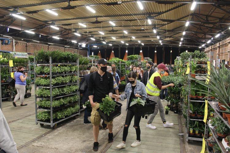 Tłumy na festiwalu roślin i długa kolejka do wejścia [ZDJĘCIA]
