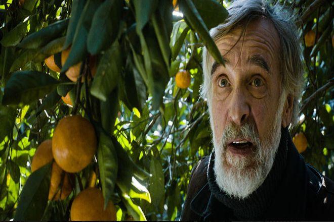 Film o wilgotnych miejscach i nie tylko - obejrzyj premiery we wrocławskim kinie