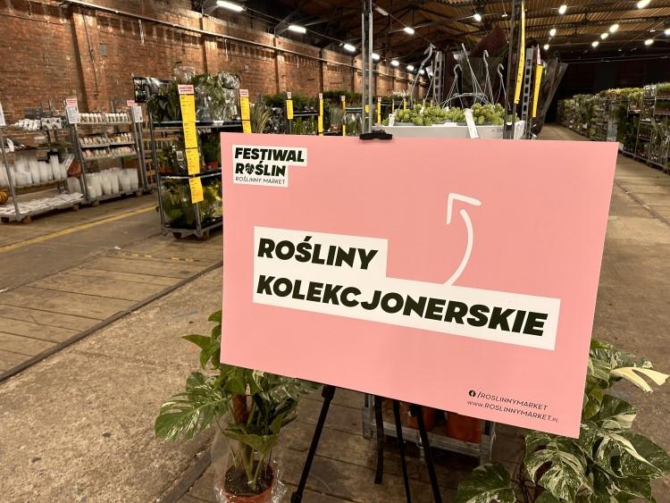 We Wrocławiu trwa Festiwal Roślin. Ceny już od 5 złotych!