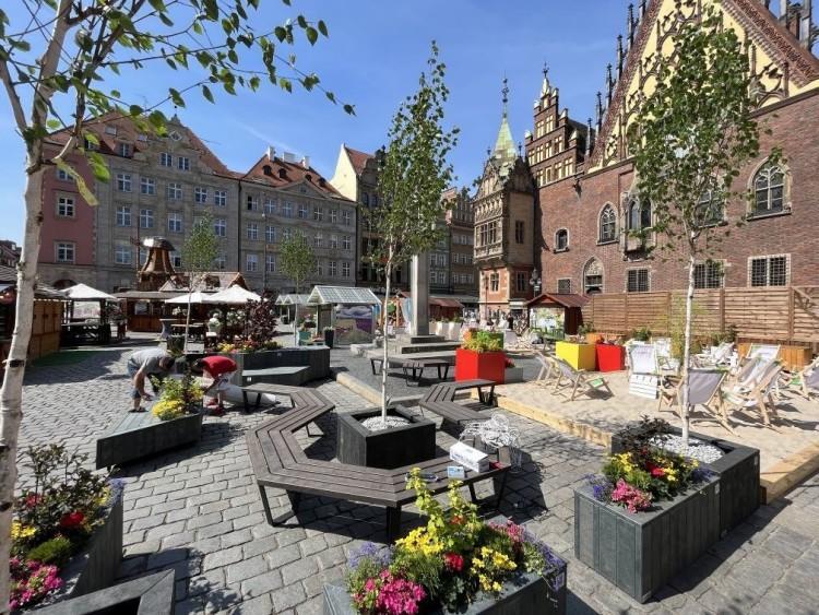 Wrocław: Tak wygląda plaża na Rynku. Są też ogrody
