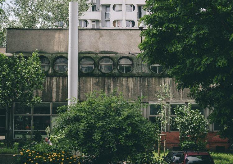 Wrocław: Chcą wodnej taksówki i ogrodu na Manhattanie. Ruszył projekt „Zielony Grunwald”