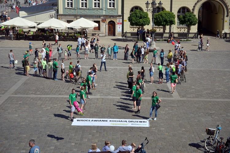 W obronie zieleni ułożyli drzewo na wrocławskim rynku [ZDJĘCIA]