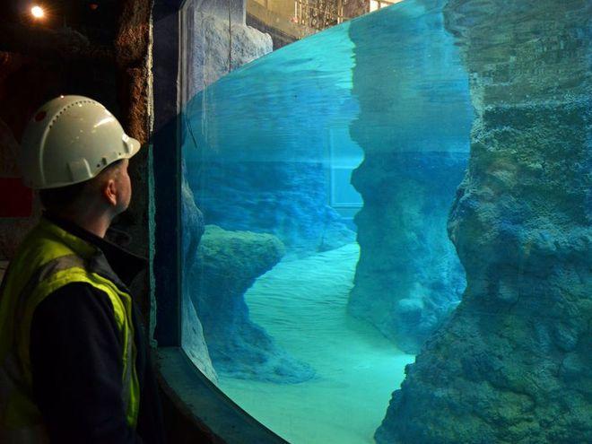 Coraz bliżej końca budowy Afrykarium. W obiekcie są już pierwsze zwierzęta i punkt widokowy