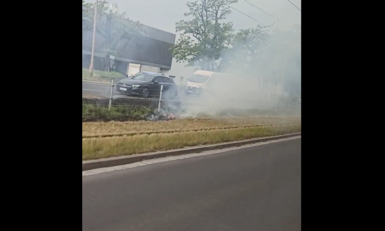 Zapaliła się trawa na zielonym torowisku na al. Hallera