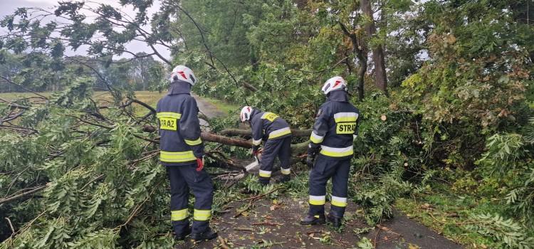 Cyklon Helma szalał wokół Wrocławia. Powalone drzewa, zablokowane drogi, kłopoty z prądem