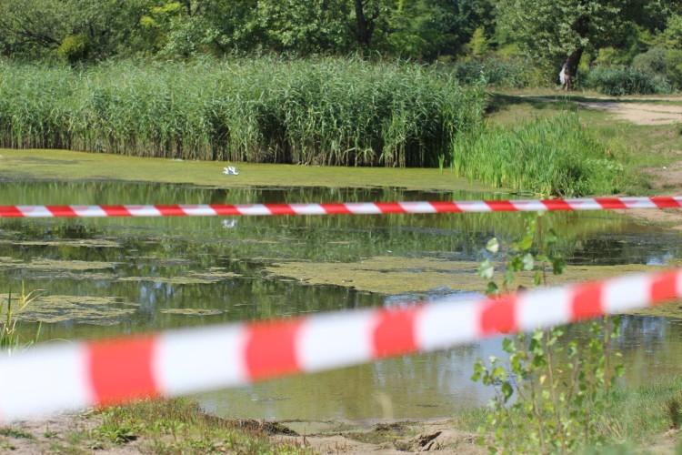Tak wygląda jezioro Bajkał pod Wrocławiem. Tu już nie ma żywych ryb