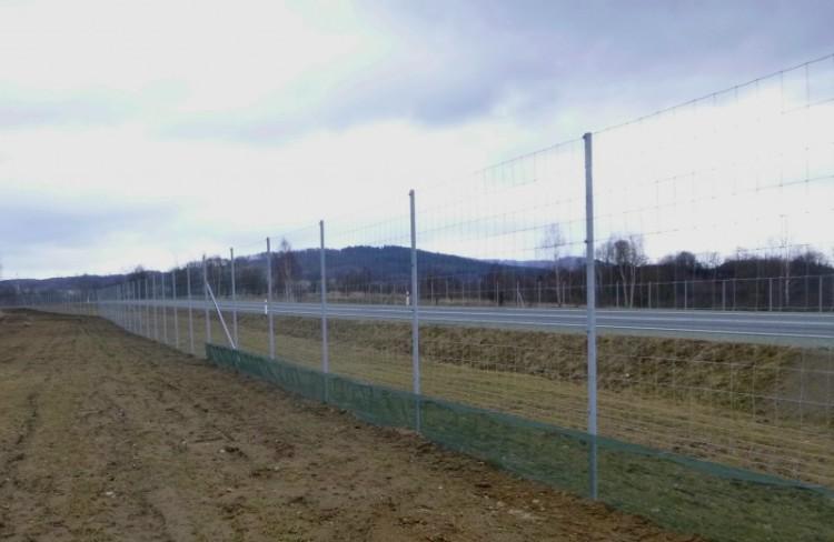 Generalna Dyrekcja Dróg ogrodzi autostradę A4 pod Wrocławiem