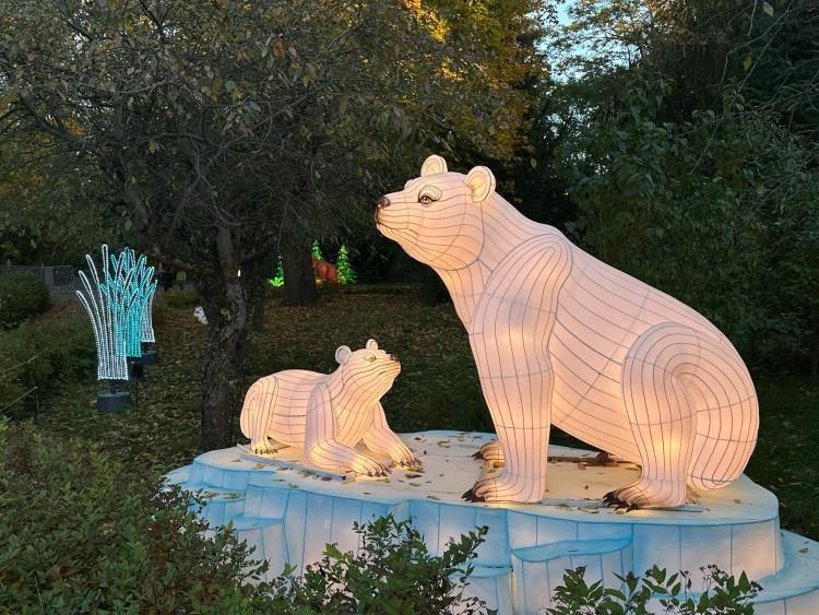 Garden of Lights - zwierzęta we wrocławskim zoo świecą!