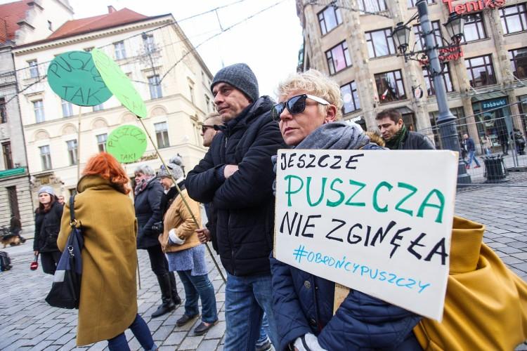 Zieloni znów pikietowali na wrocławskim Rynku. „Puszcza to nasze wspólne naturalne dziedzictwo” [ZDJĘCIA]