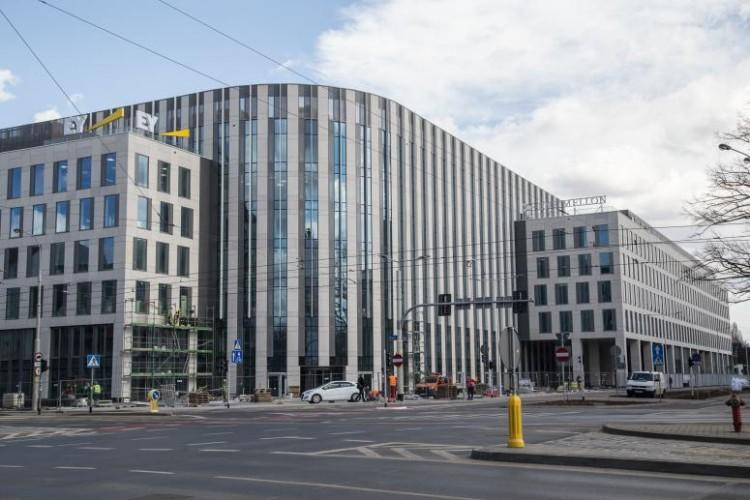 Do prezydenta trafił wniosek o posadzenie drzew naprzeciwko Wroclavii