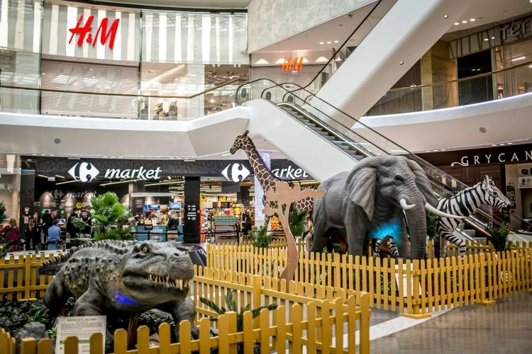 Oko w oko z dzikimi zwierzętami w centrum miasta, czyli safari we Wroclavii