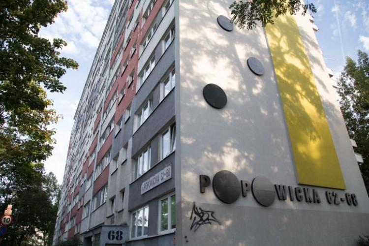Tramwaj na Popowice. Miasto szuka firmy, która uzupełni wyciętą zieleń