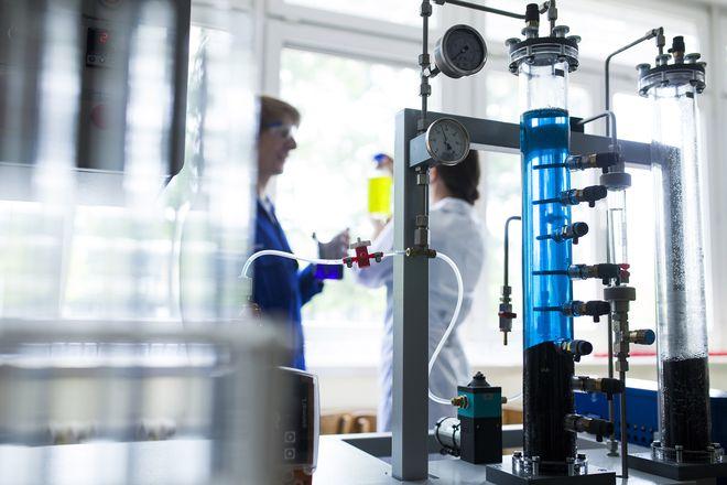 Biochemiczny i numeryczny diament z Wrocławia