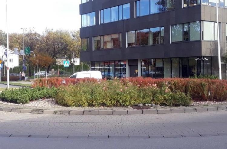 Rondo Praw Kobiet we Wrocławiu. Rada miejska ustaliła lokalizację