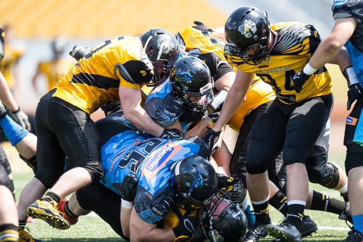 Panthers Wrocław wciąż niepokonani. Pewne zwycięstwo w meczu na szczycie [RELACJA, ZDJĘCIA]
